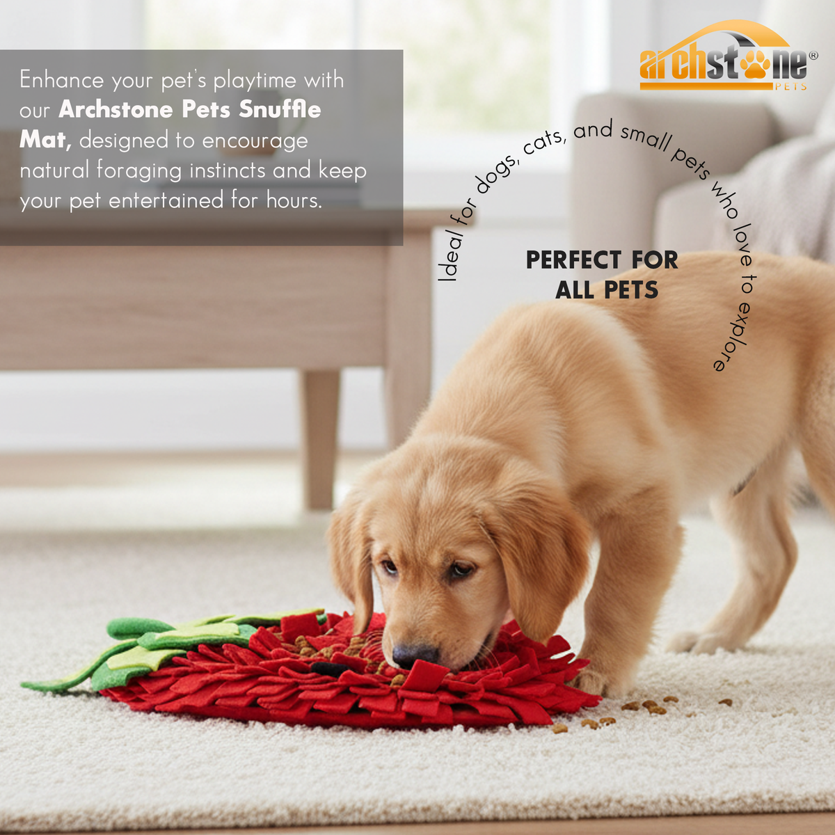Archstone Pets Snuffle Mat - Strawberry, Feeding Training Mat