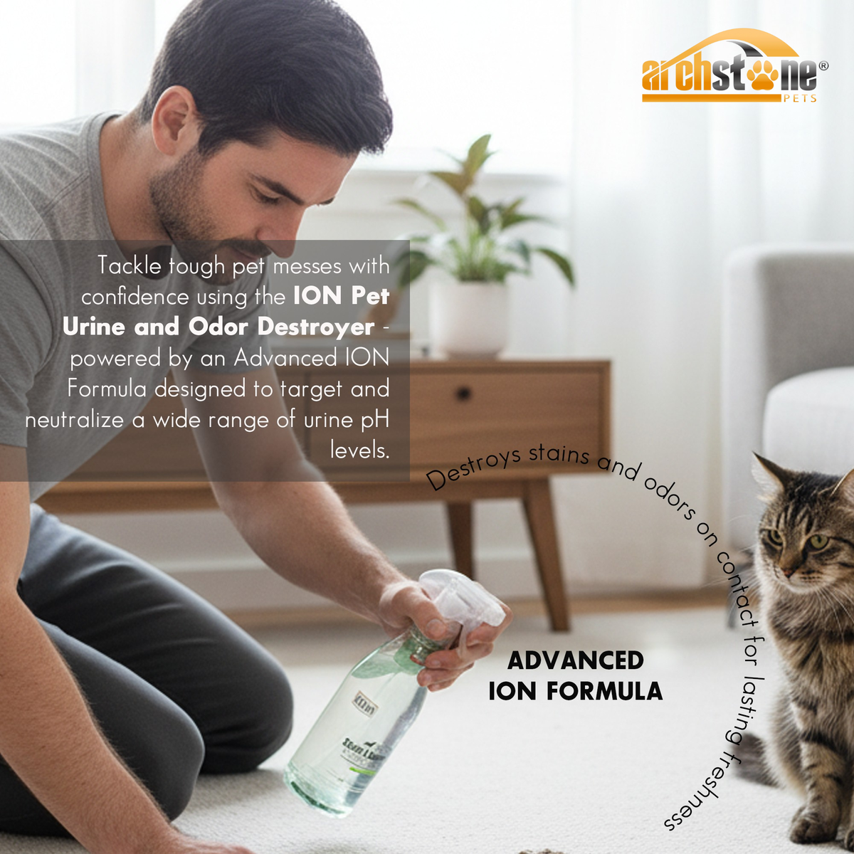 ION Pet 32 Oz Stain and Odor Destroyer - Cool Cucumber
